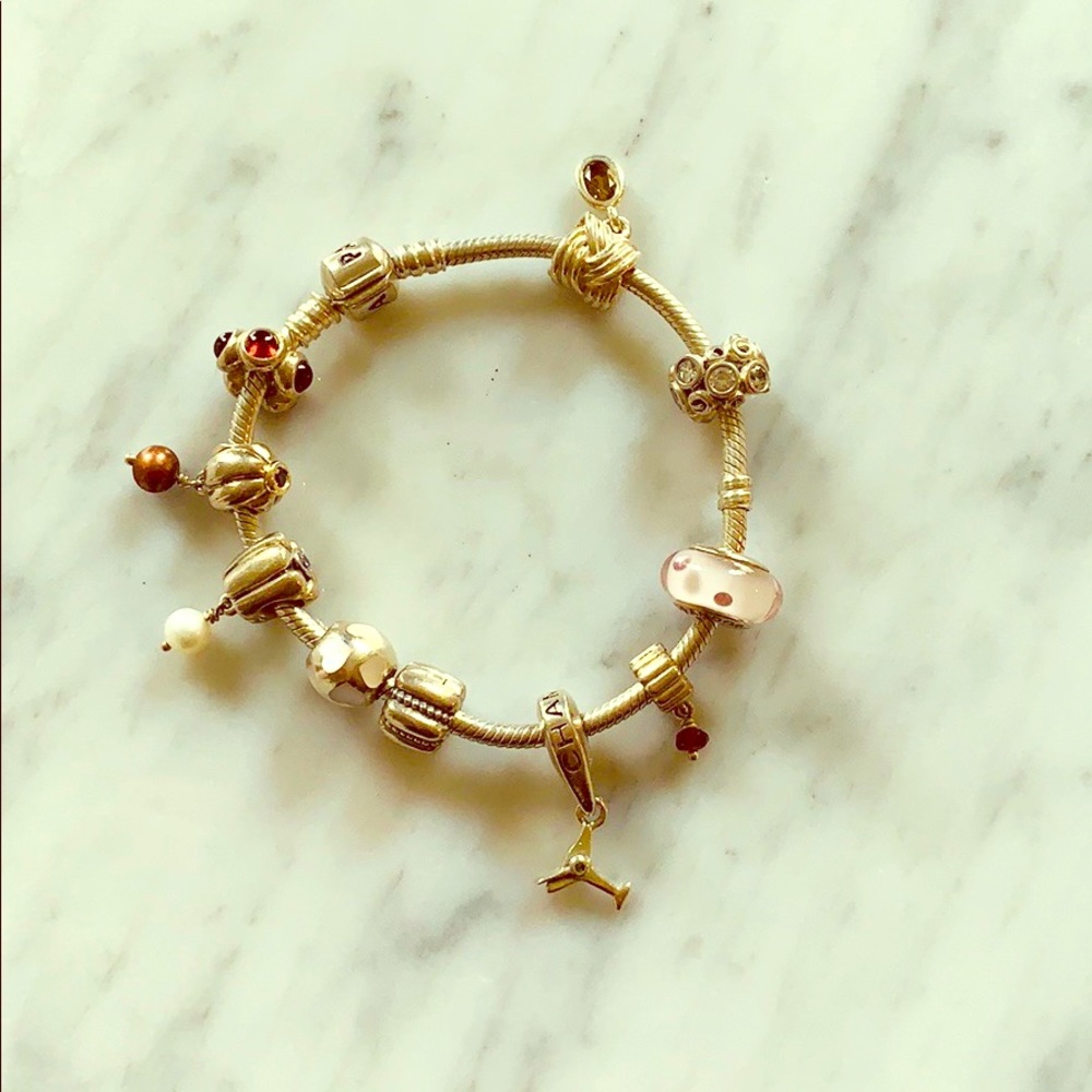 Pandora Sterling Silver Charm Bracelet